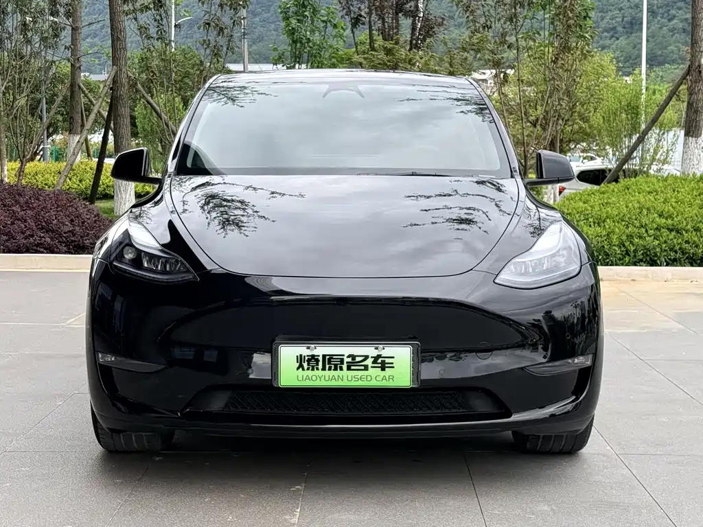 Tesla Model Y 2024 — фото 2
