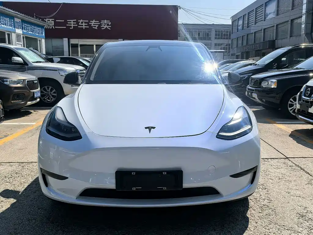Tesla Model Y 2021 — фото 3