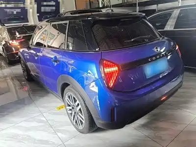 MINI MINI 2025