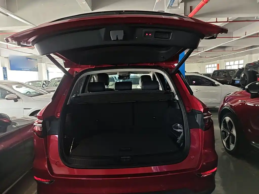 BYD Song Pro New Energy 2019 — фото 15