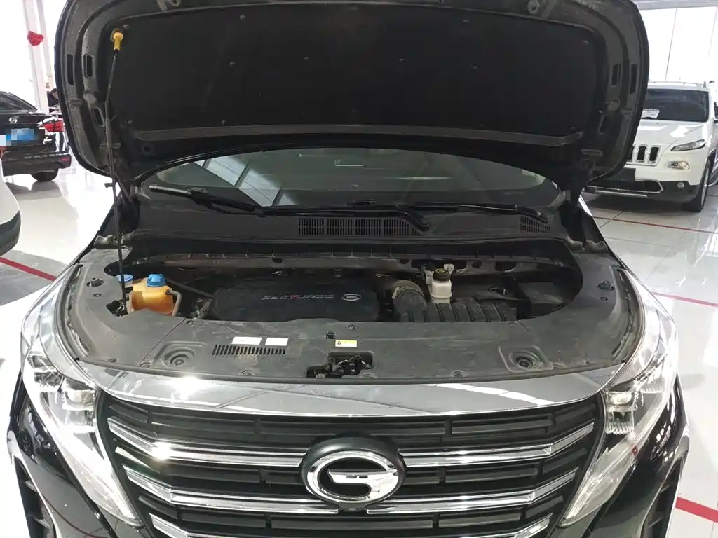 GAC Motor Trumpchi M8 2021 — фото 10