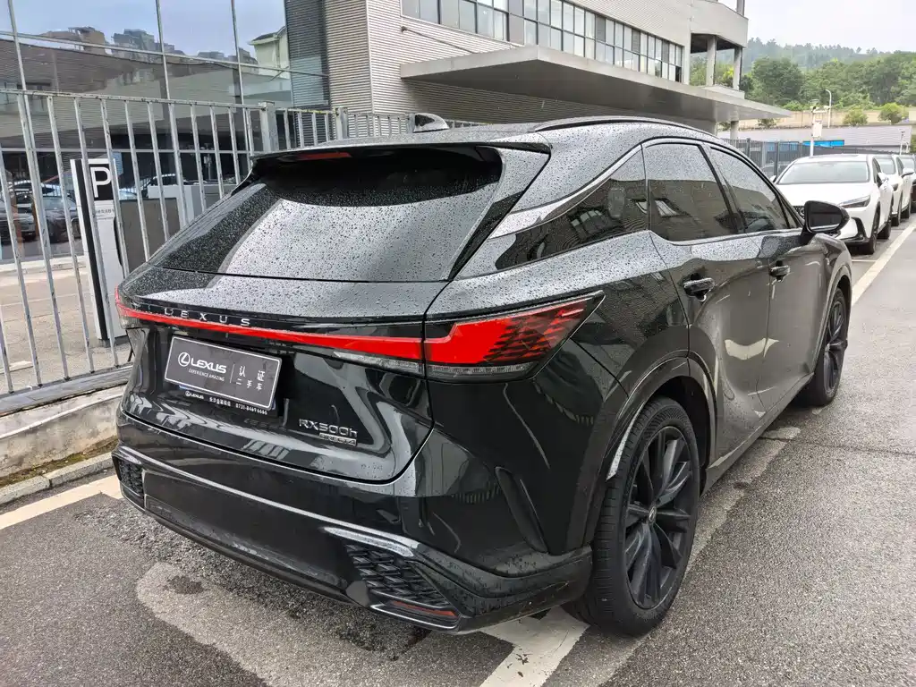 Lexus RX 2023 — фото 10