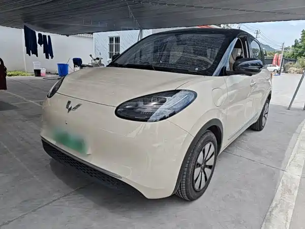 Wuling Bingo 2025