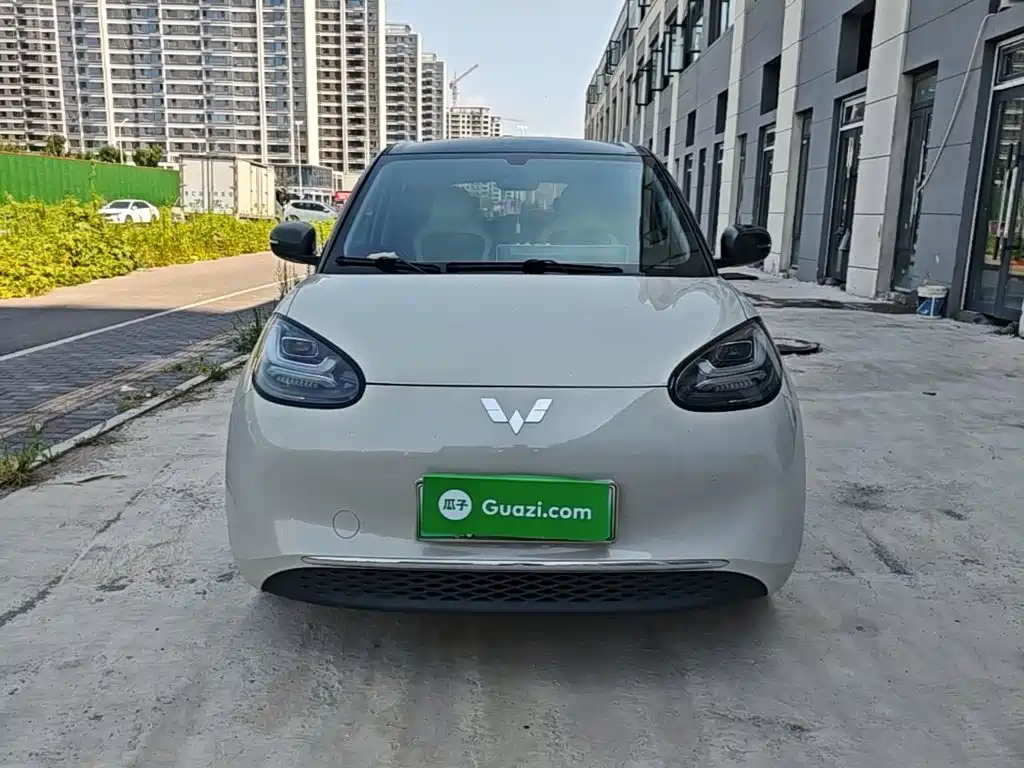 Wuling Bingo 2024