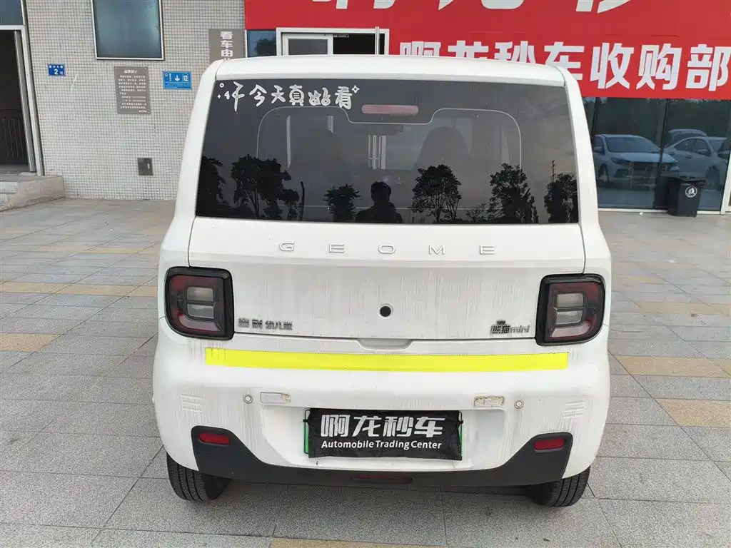 Geely Galaxy Panda 2023 — фото 5