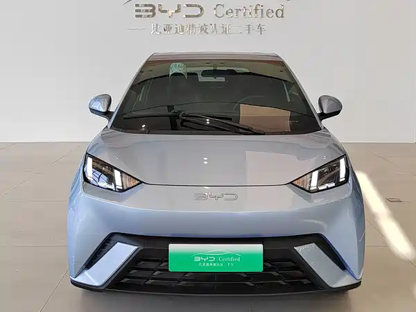 BYD Seagull 2024