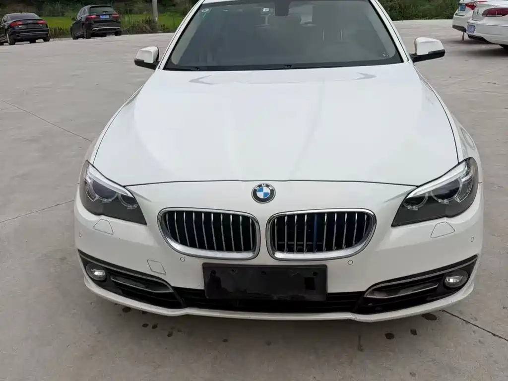 BMW 5 Series 2014 — фото 1