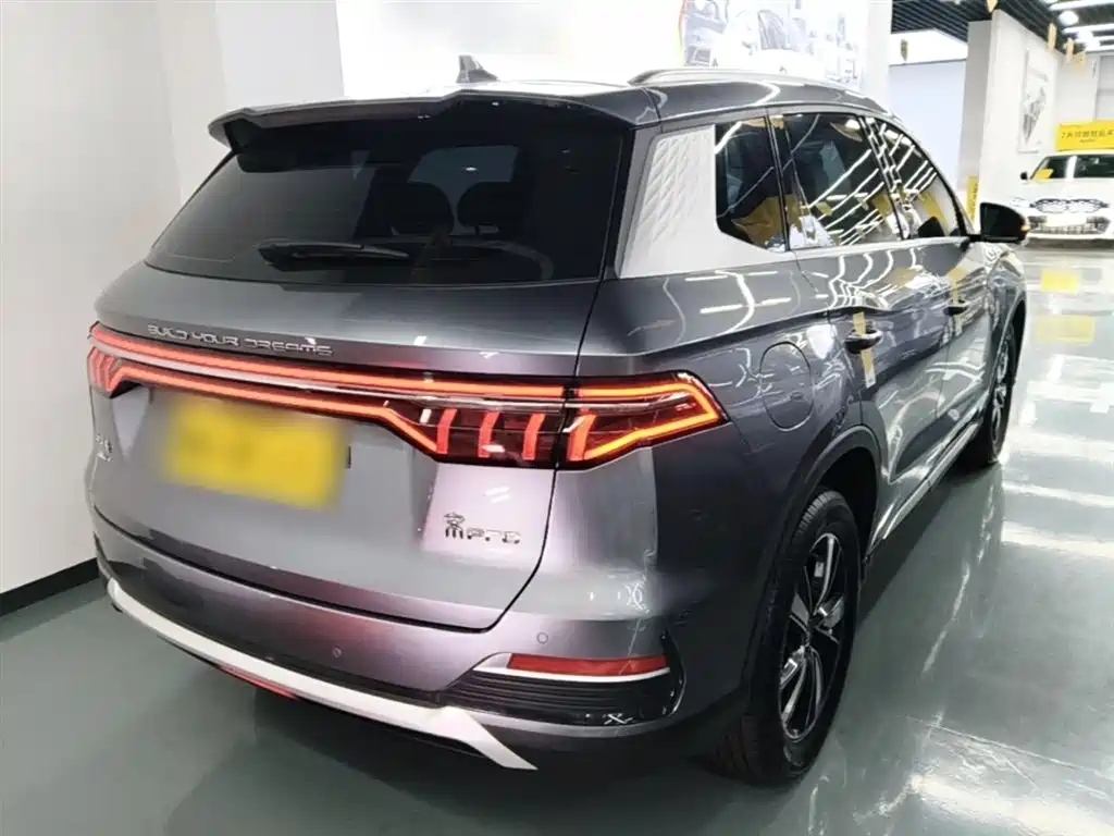 BYD Pro New Energy 2023 — фото 7