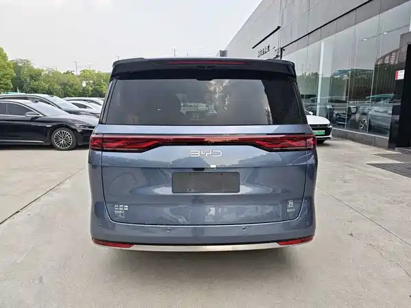 BYD Summer 2025