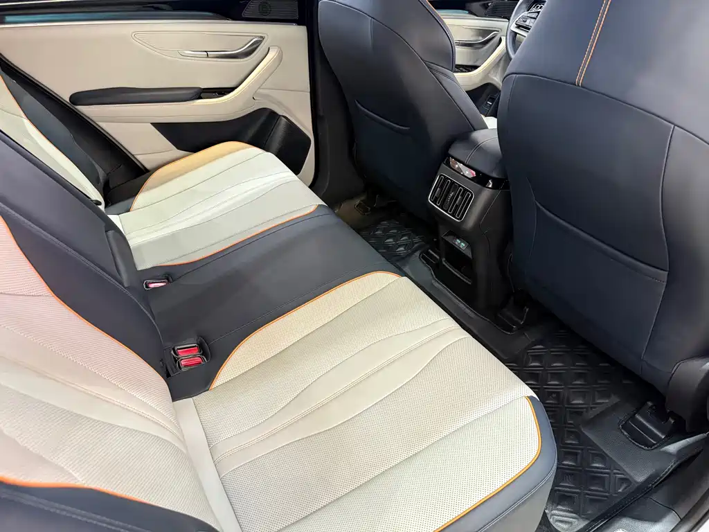 BYD Song PLUS New Energy 2023 — фото 26
