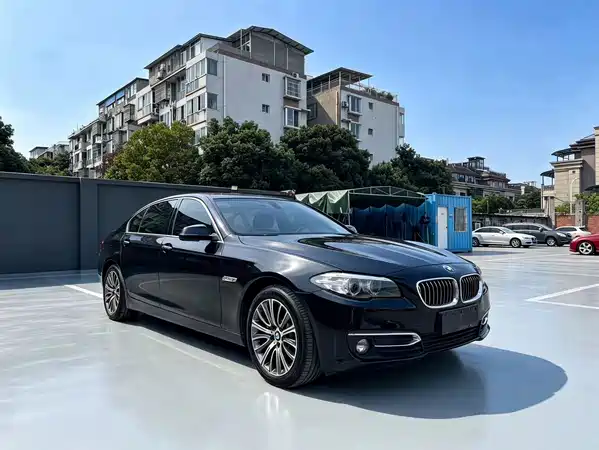 BMW 5 Series New Energy 2017