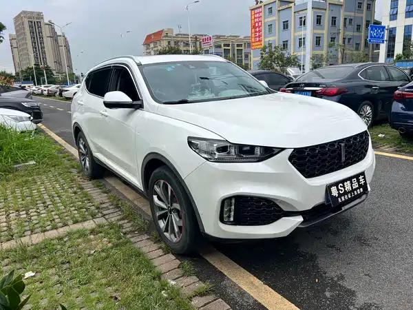 Wey VV6 2019