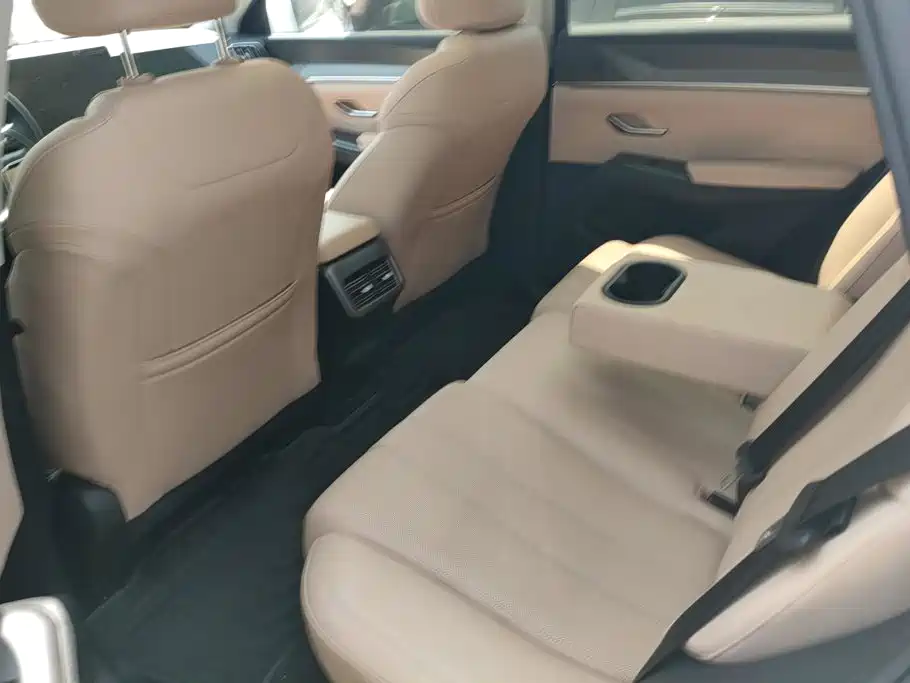 BYD Song Pro New Energy 2025 — фото 11