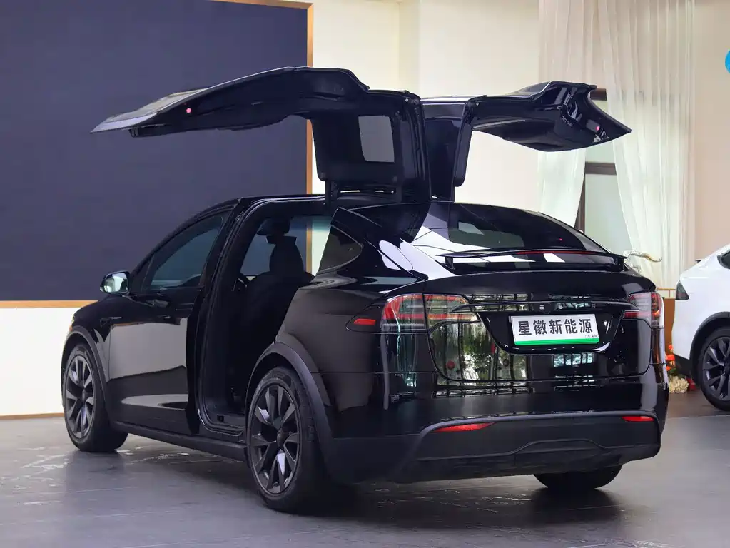 Tesla Model X 2023 — фото 20