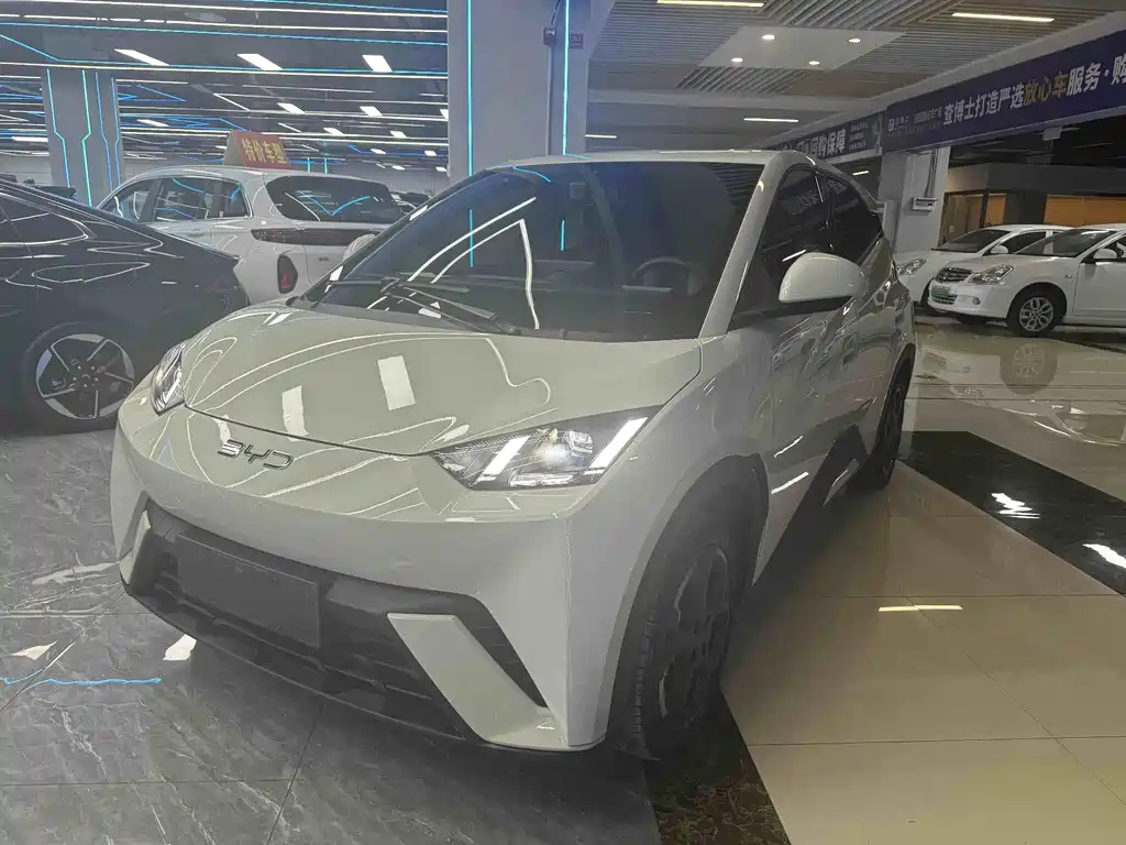 BYD Seagull 2024