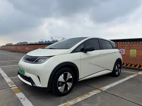 BYD Dolphin 2024