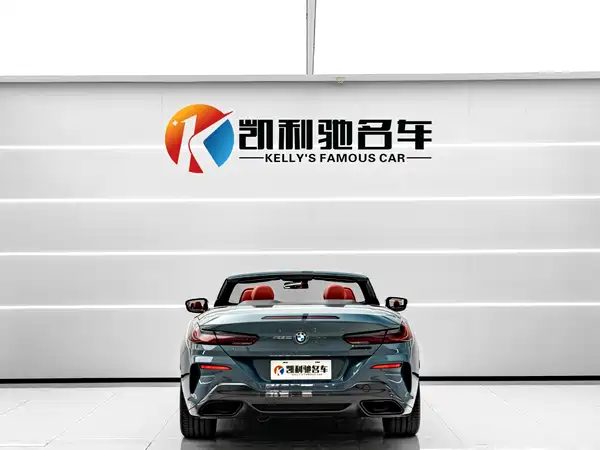 BMW 8 Series 2019
