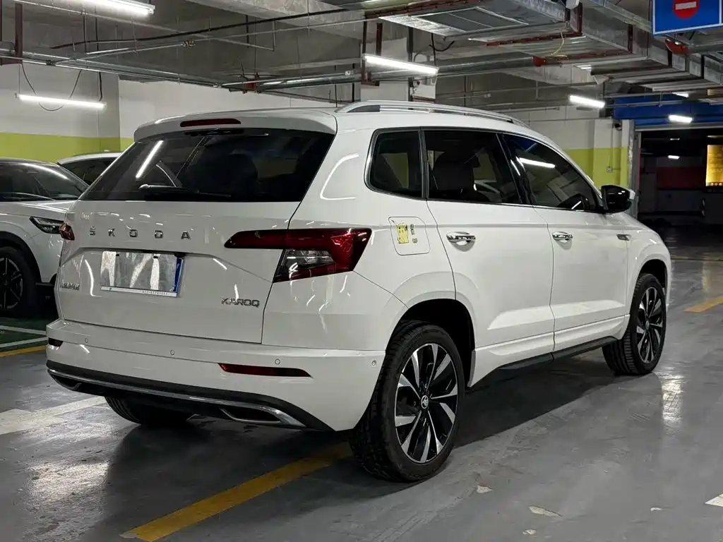 Skoda Karoq 2022 — фото 6
