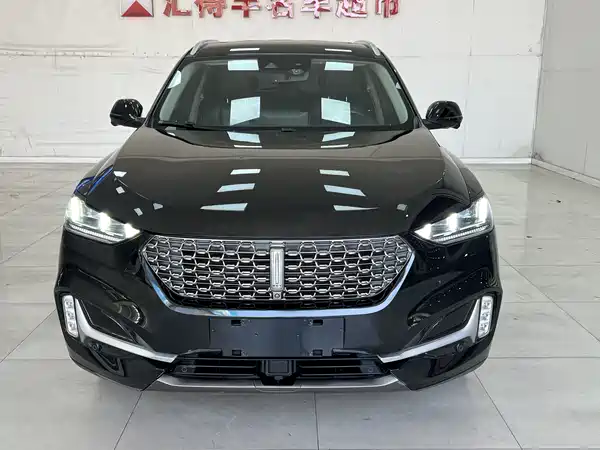 Wey VV6 2021
