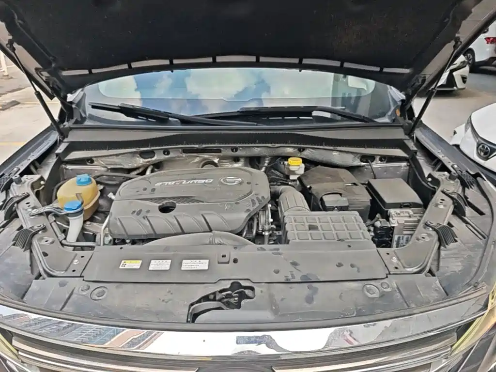 GAC Motor Trumpchi GS5 2020 — фото 20