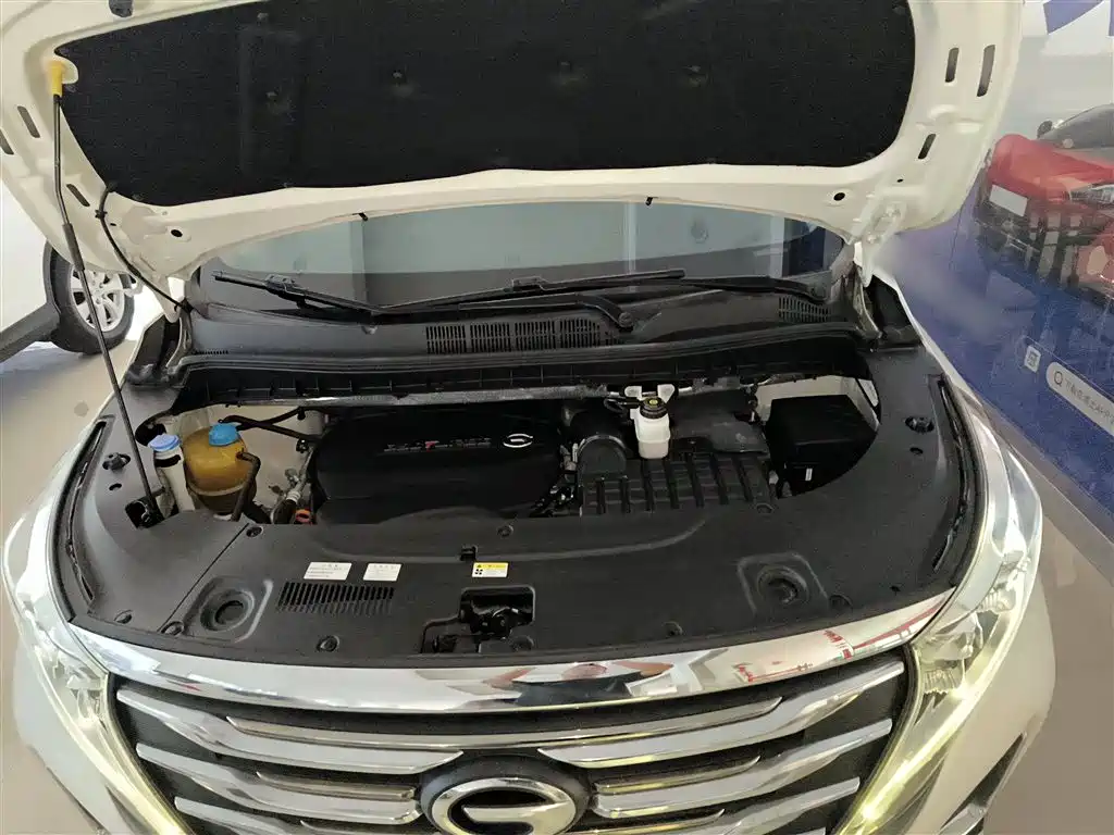 GAC Motor Trumpchi M8 2021 — фото 20