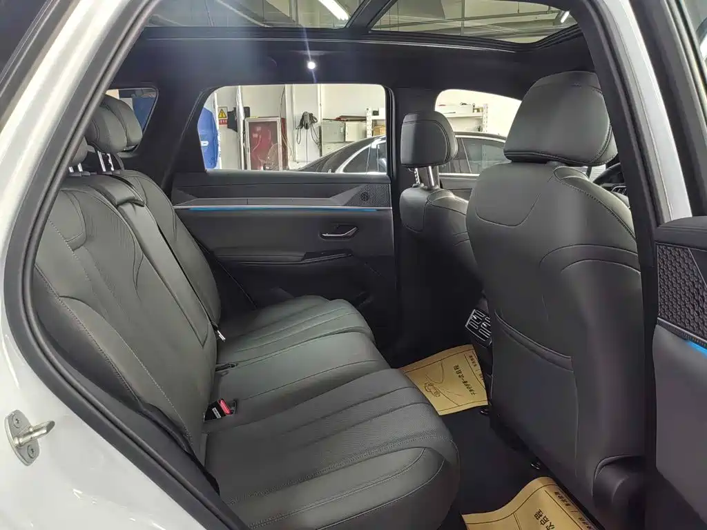 BYD Song Pro New Energy 2025 — фото 11