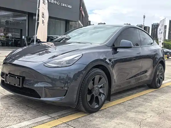 Tesla Model Y 2021
