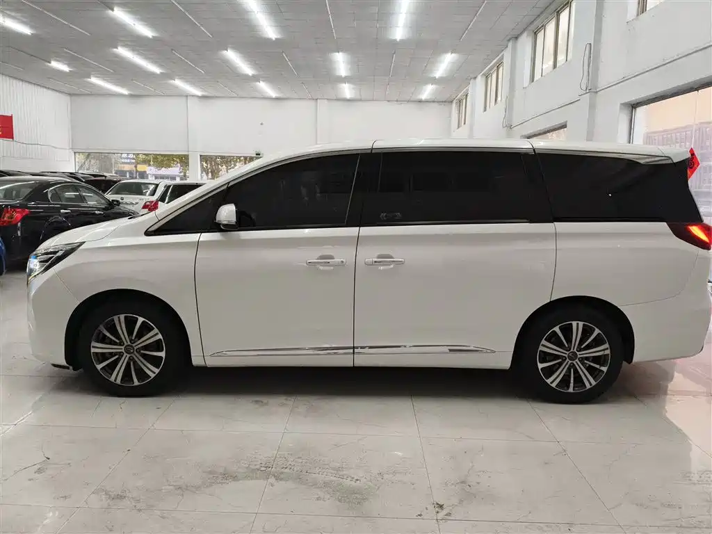 GAC Motor Trumpchi M8 2019 — фото 5
