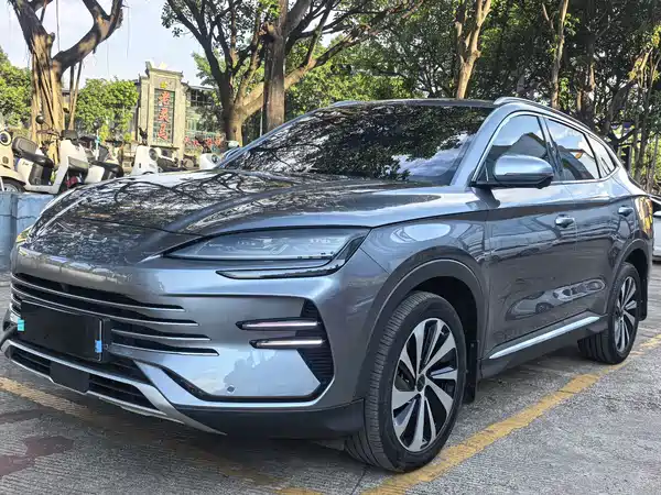 BYD Song PLUS New Energy 2024
