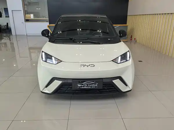 BYD Seagull 2024