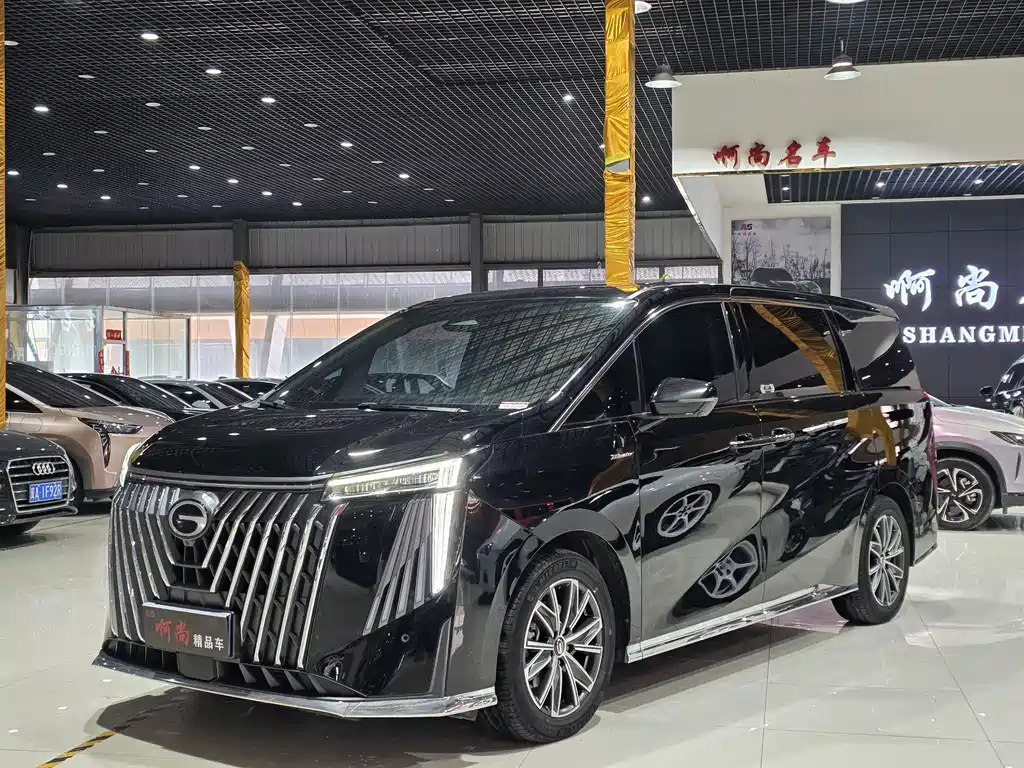 GAC Motor Trumpchi M8 2024 — фото 3