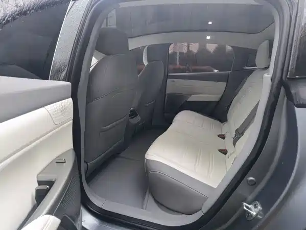 Dongfeng e007 2024