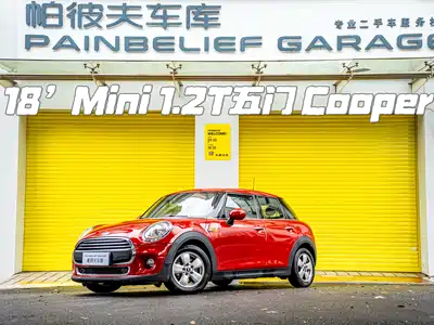 MINI MINI 2018