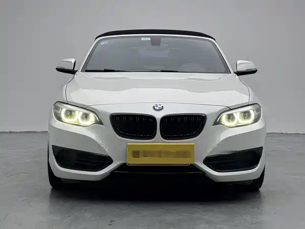 BMW 2 Series 2019