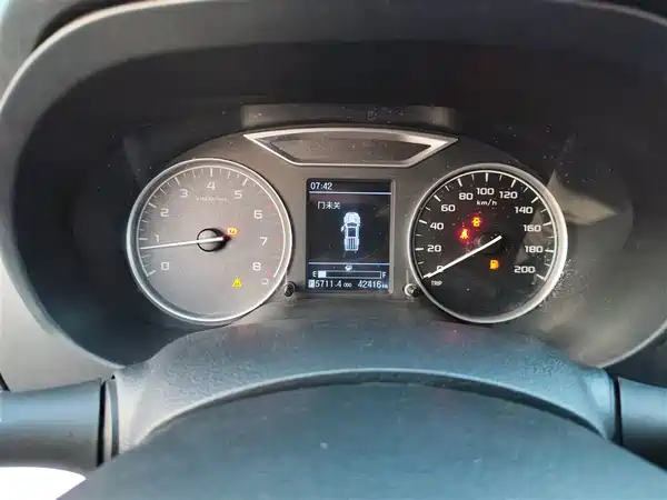 Dongfeng Ruiqi 6 2019