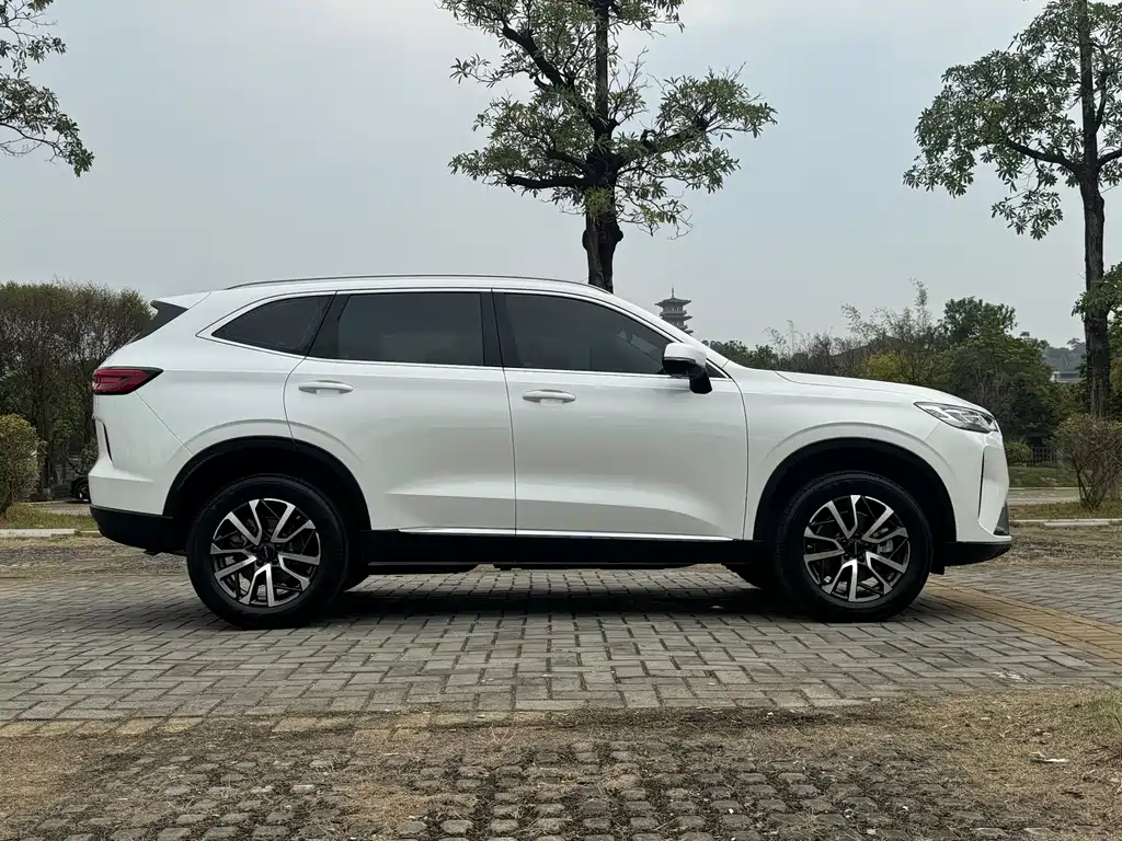 Haval H6 2023 — фото 25