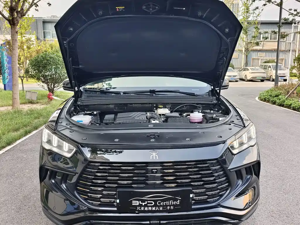 BYD Song Pro New Energy 2024 — фото 2
