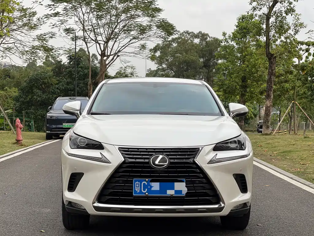 Lexus NX 2019 — фото 2