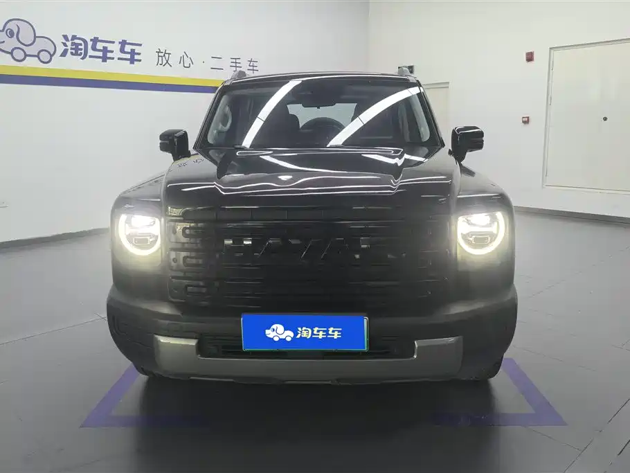 Haval Menglong New Energy 2024