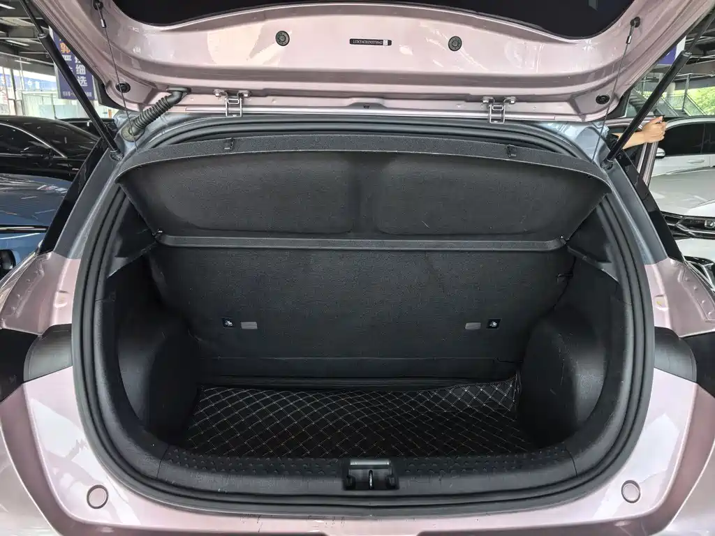 BYD Dolphin 2022