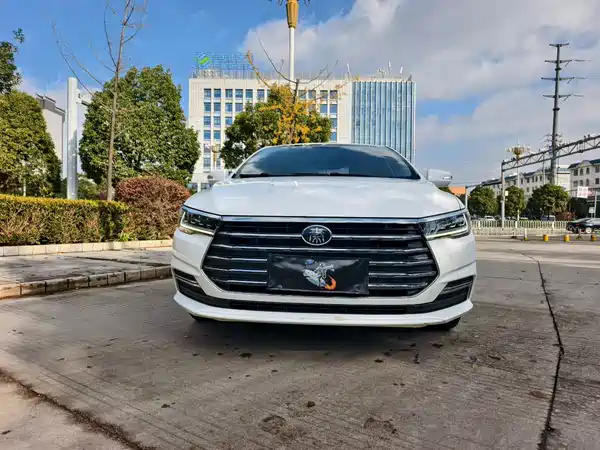 BYD Qin 2019