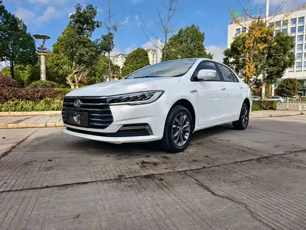 BYD Qin 2019