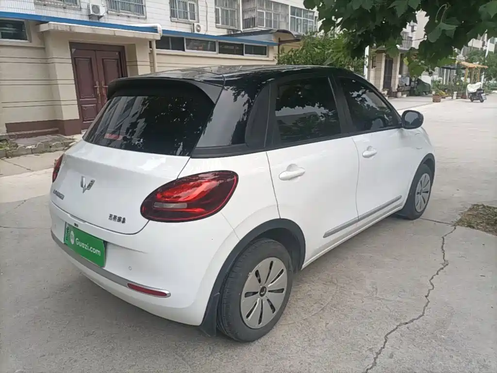 Wuling Bingo 2024