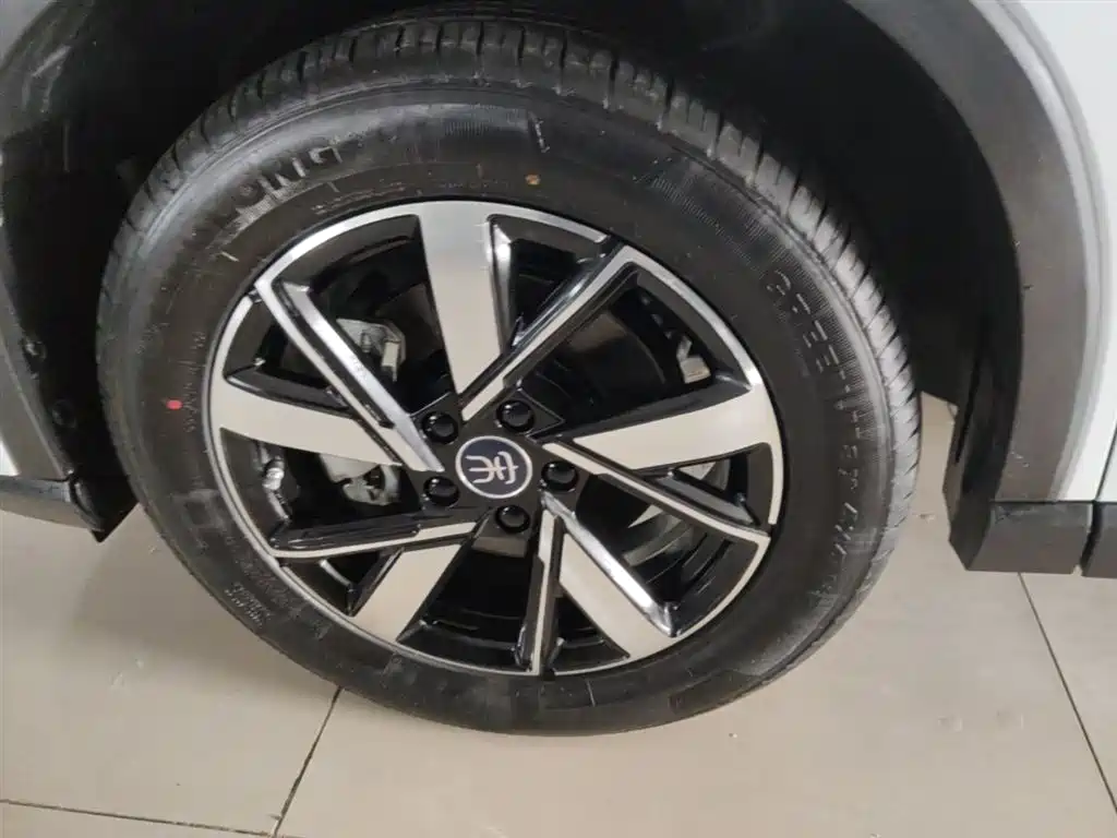 BYD Pro New Energy 2024 — фото 23