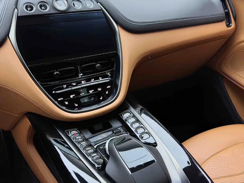 Aston Martin DBX 2021 — фото 17