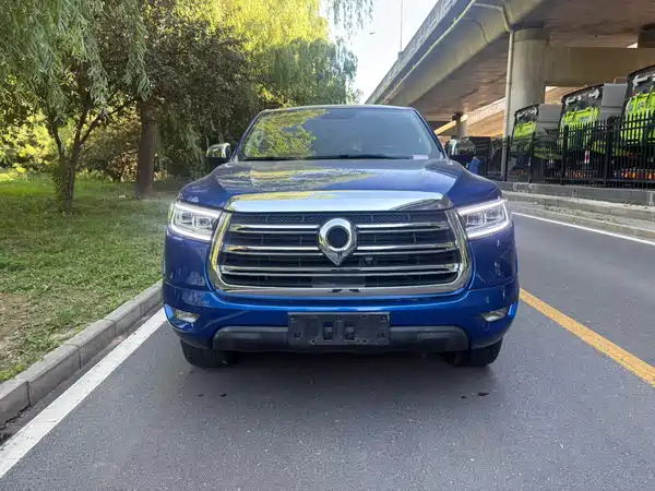 Great Wall Poer 2020