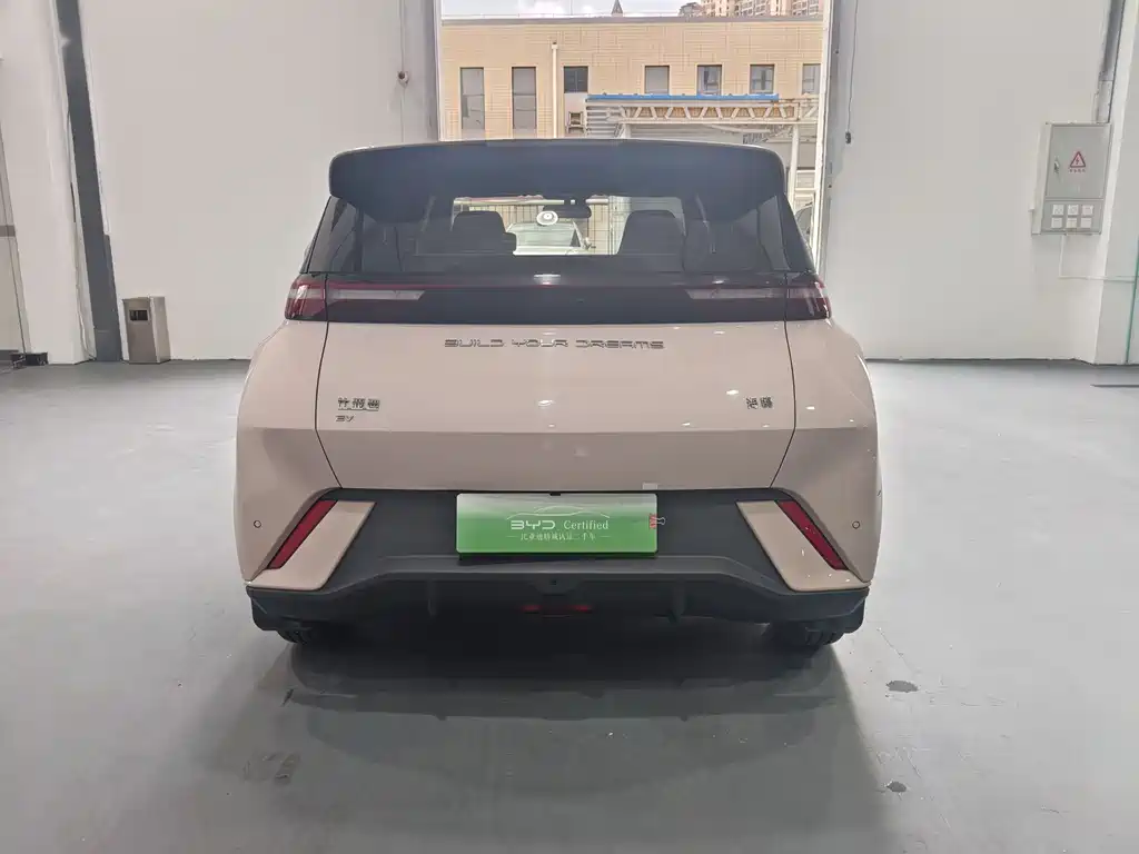 BYD Seagull 2024