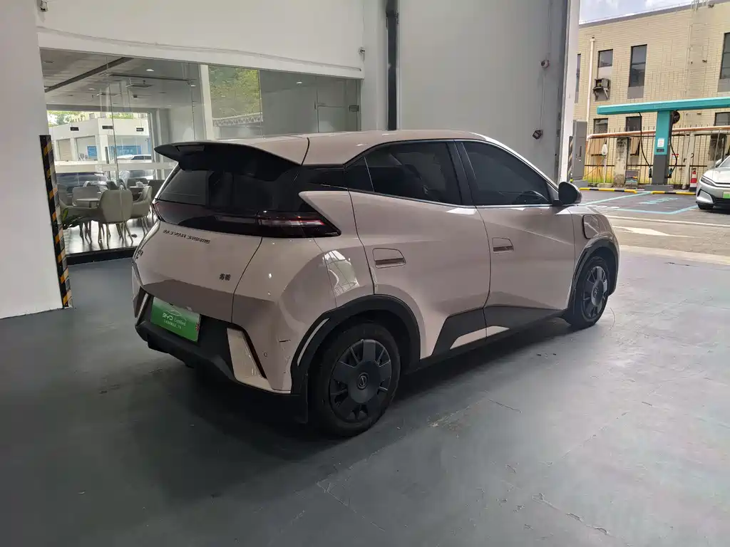 BYD Seagull 2024