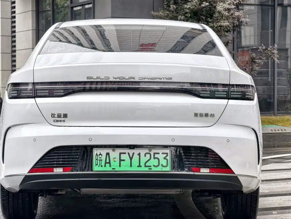 BYD Destroyer 05 2023 — фото 10