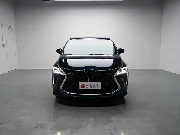 Dongfeng Popular Yacht 2024